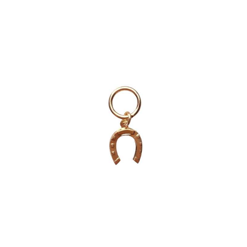 gold filled horseshoe charm