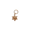 gold filled star of david charm